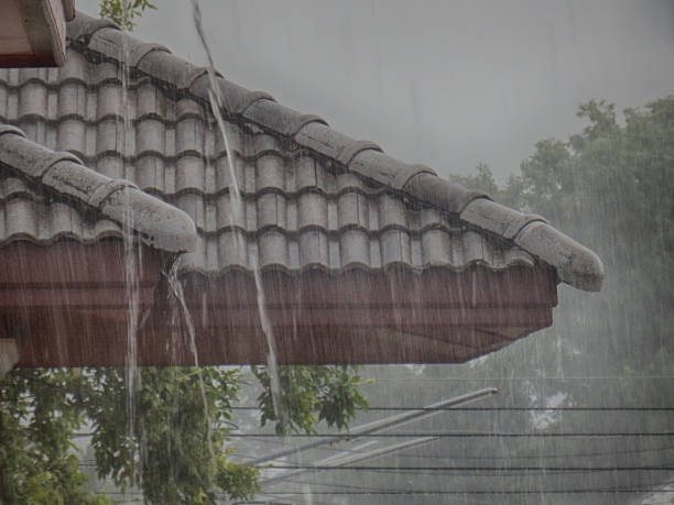 7 Tips Menghadapi Musim Hujan agar Rumah Tetap Nyaman dan Aman