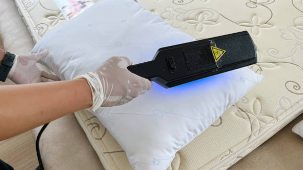 Tungau Bisa Hilang dengan Vacuum Cleaner, Begini Caranya