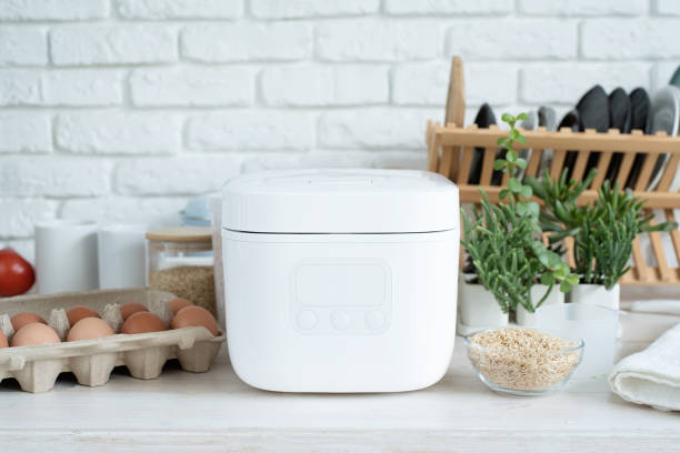 Anak Kos Wajib Tahu! Ini Cara Menggunakan Rice Cooker Mini dengan Aman