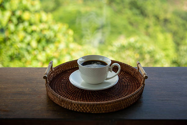 Perbandingan Teko Listrik dan Teko Biasa untuk Brewing Kopi Harian