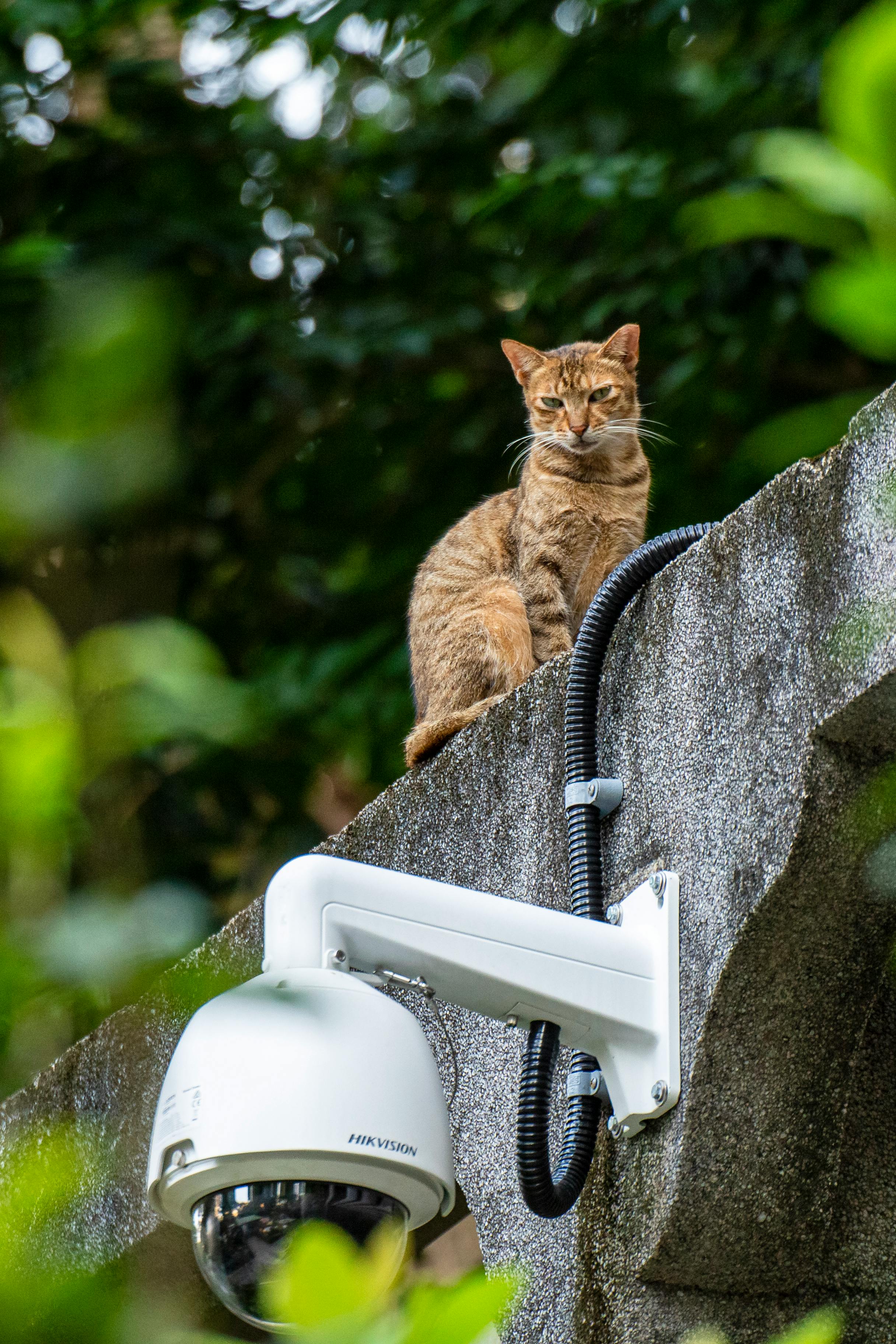 Jangan Sampai Salah! 5 Titik Kunci Pasang CCTV Outdoor agar Maksimal