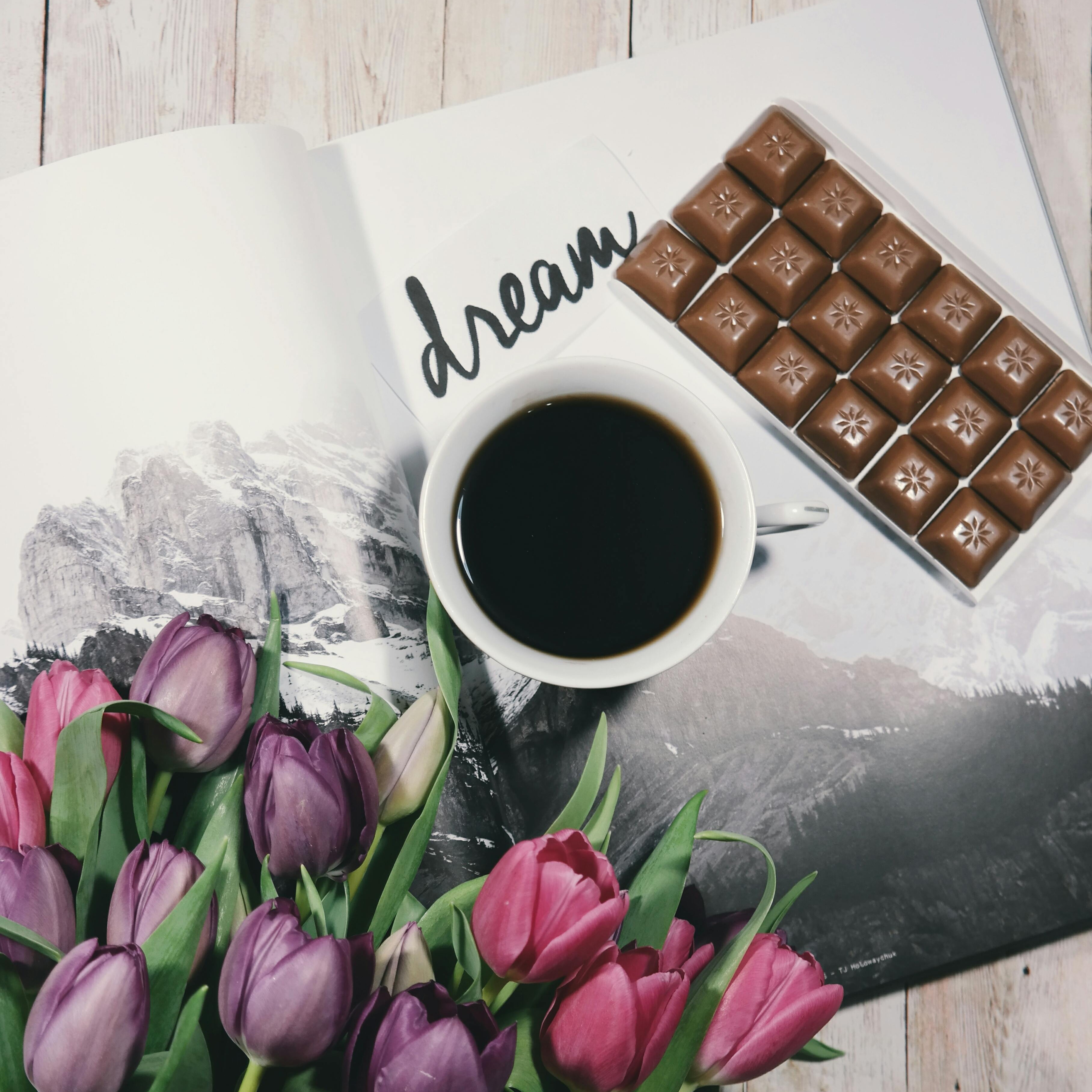 7 Fakta Mengejutkan tentang Cokelat yang Wajib Kamu Tahu!
