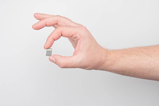 Cara Memilih Micro SD Card yang Tepat untuk Penyimpanan Data HP