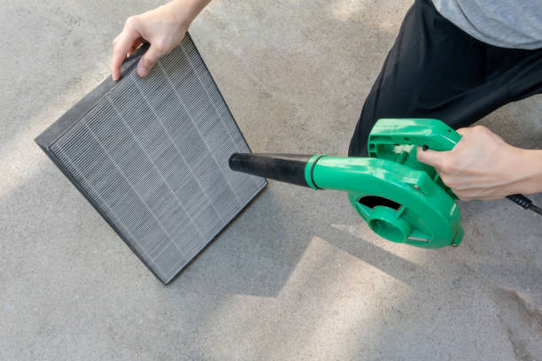 600W Cukup? Jangan Sampai Salah Beli! Ini 3 Kriteria Penting Blower Listrik Wajib Tahu