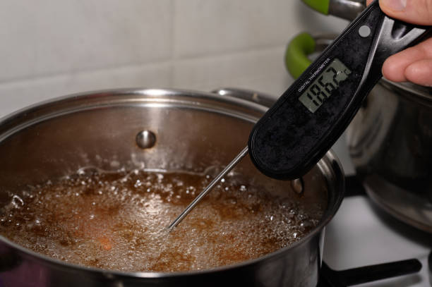 Mengukur Suhu Makanan Penting Saat Memasak, Ini Alasannya