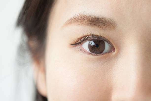 Mau Tampil Beda? Ini Dia 3 Warna Softlens Viral yang Bikin Mata Cantik Maksimal