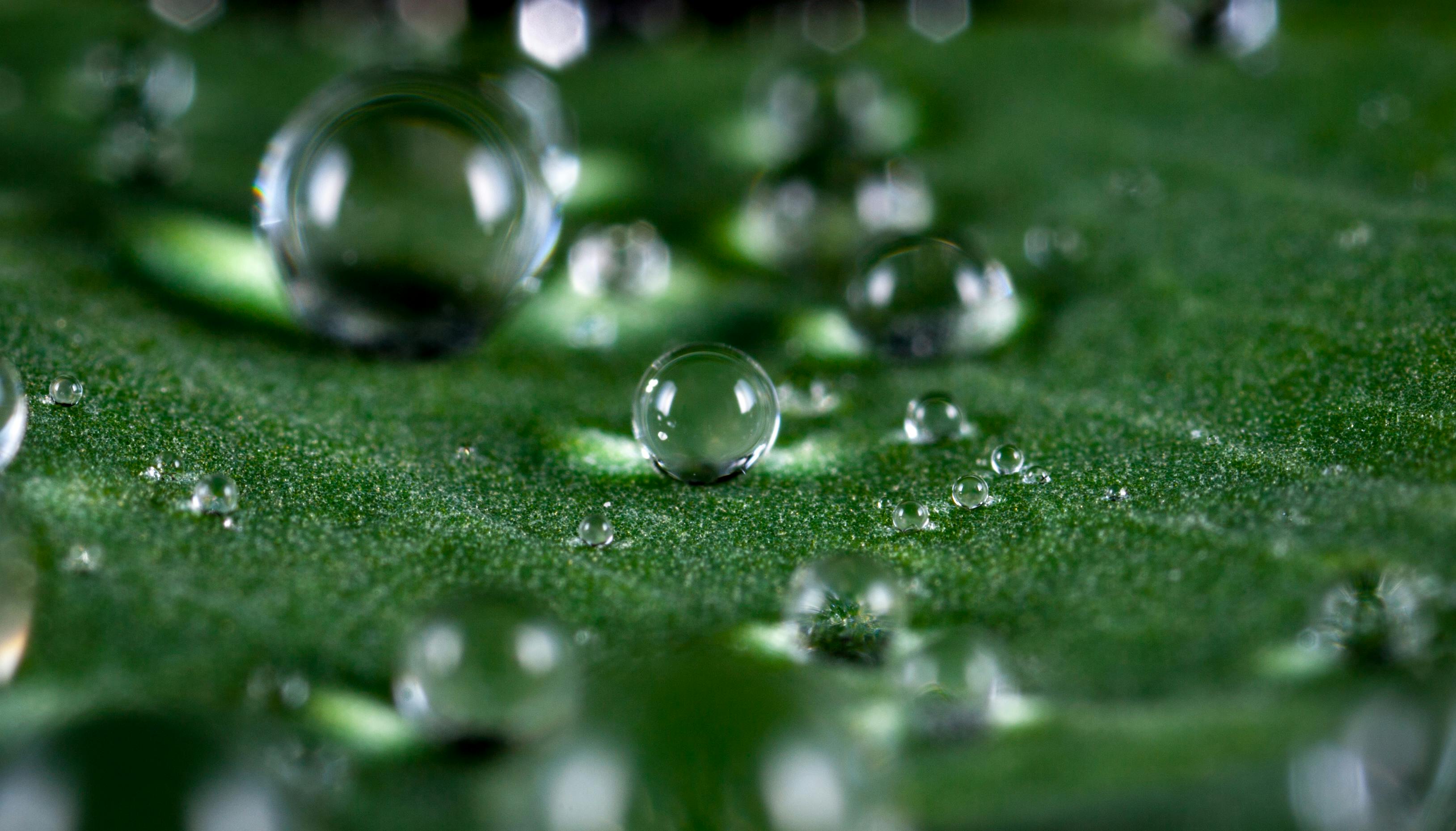 Fotografi Bangunan Megah? Kenali Jenis Lensa Kamera Tilt-Shift