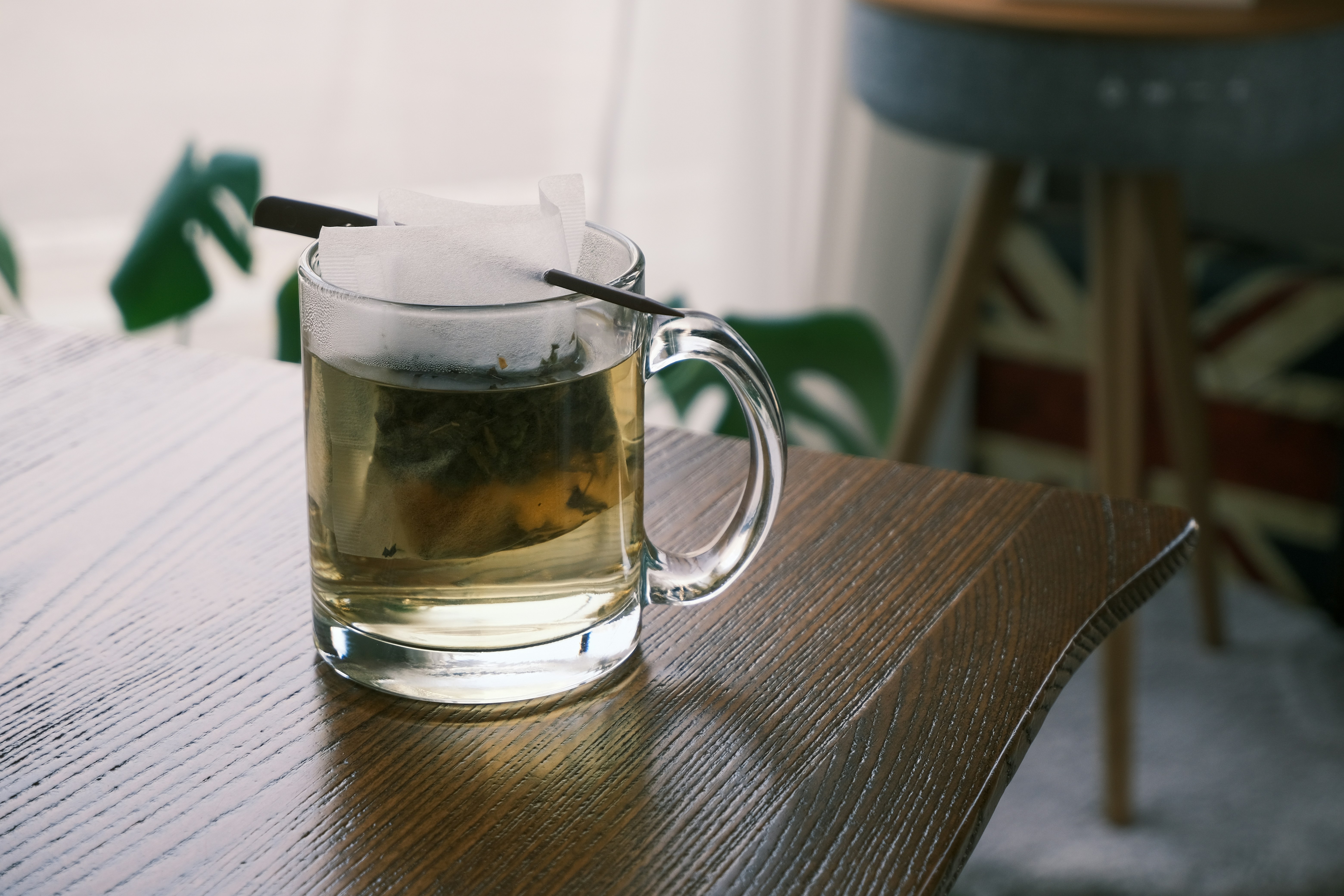 Spearmint atau Peppermint? Temukan Khasiat Teh Herbal Favoritmu