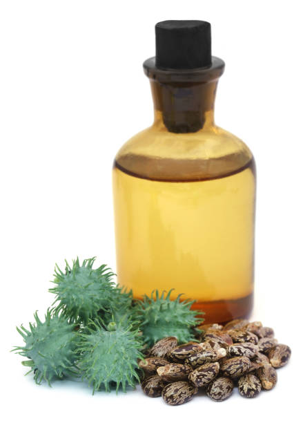 Manfaat Castor Oil untuk Wajah dan Rambut yang Sering Diremehkan
