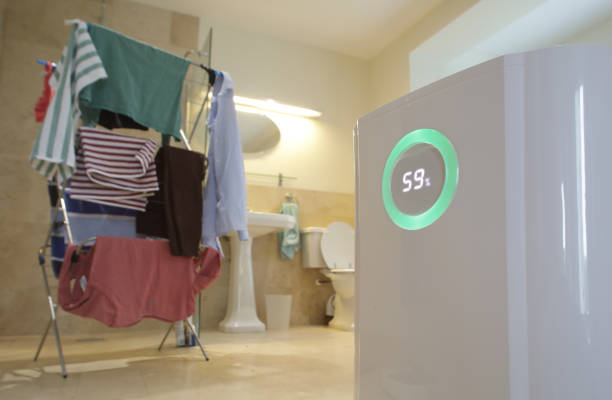 5 Fungsi Dehumidifier di Rumah, Bikin Ruangan Antilembap Tanpa Bau Apek