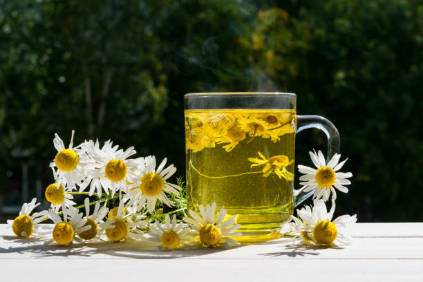 Teh Chamomile dan Khasiatnya untuk Tubuh Kamu