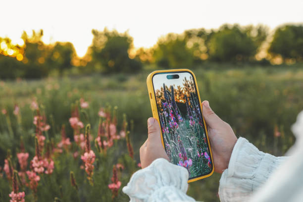 5 Tips Jitu Membuat Foto dan Video di HP Jadi Lebih Stabil