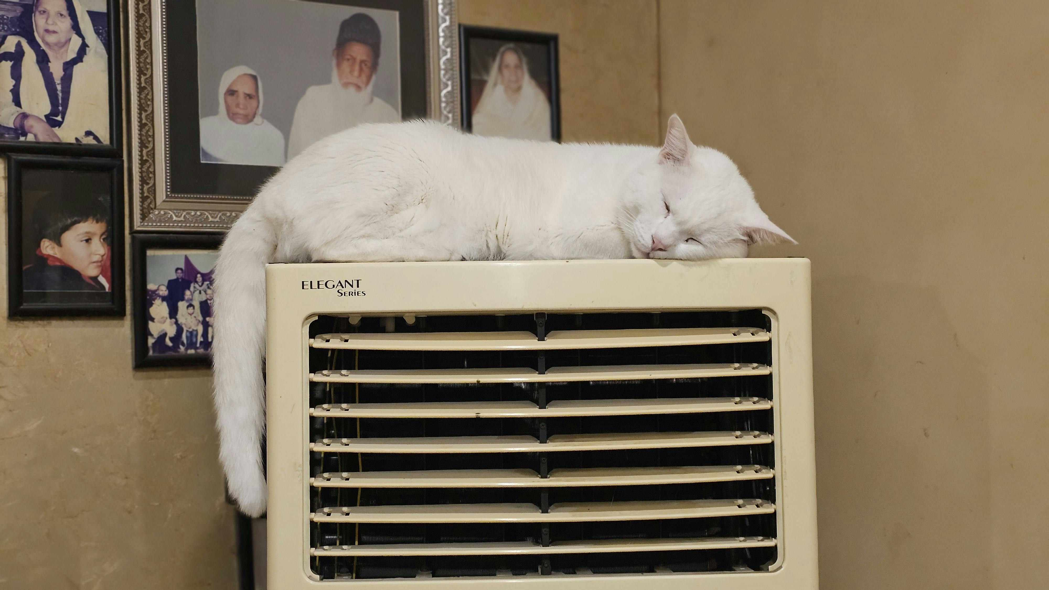 Air Cooler Sehat Digunakan Sehari-hari? Cari Tahu Faktanya