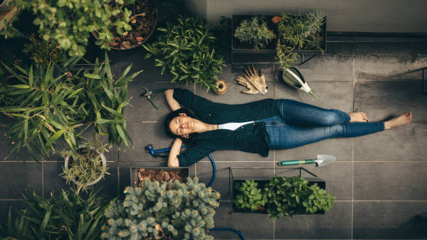 Berkebun di Lahan Sempit Bisa! Ini Jenis Benih yang Tetap Tumbuh Subur