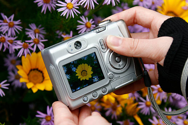 Mau Foto Lancar? Pastikan SD Card Cocok dengan Digicam