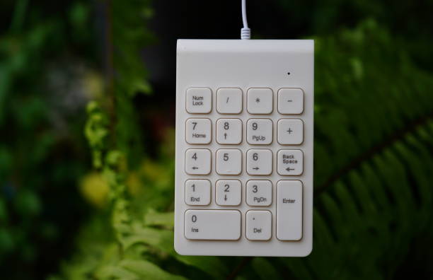 Input Angka di Laptop Terlalu Lambat? Gunakan Keyboard Numeric Biar Kerja Makin Cepat!