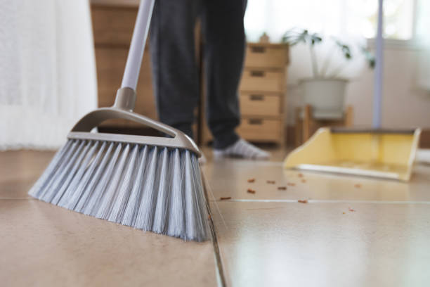 Vacuum Cleaner vs Sapu Biasa, Mana yang Lebih Baik untuk Kebersihan Rumah?