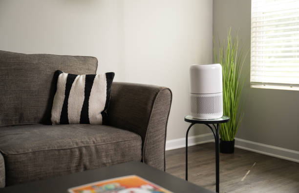 Air Purifier Kurang Efektif? Cek Posisi Ini