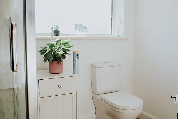 Seberapa Efektif Pengharum Toilet Membuat Kamar Mandi Terasa Segar dan Nyaman?