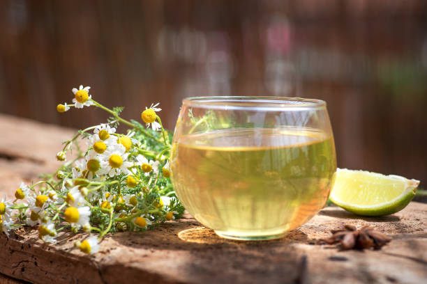 Teh Chamomile dan Khasiatnya untuk Tubuh Kamu