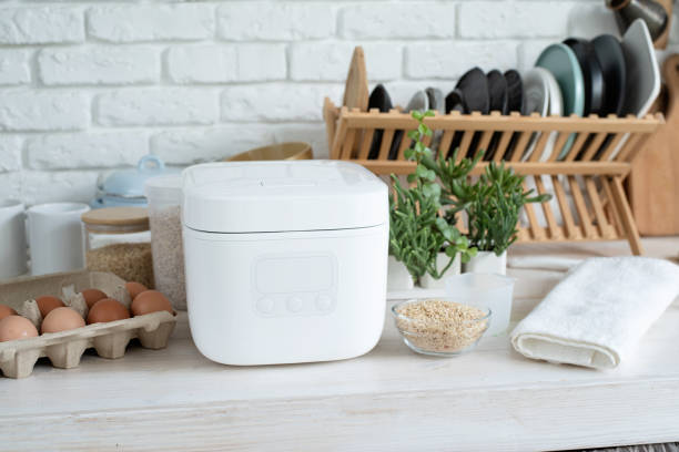 Anak Kos Wajib Punya Rice Cooker Mini yang Praktis dan Anti Ribet