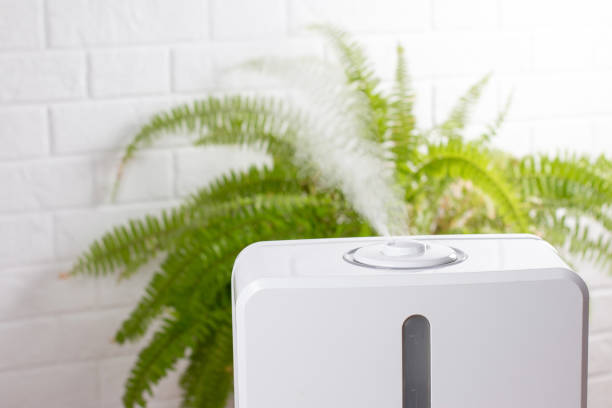 10 Manfaat Humidifier Diffuser di Rumah