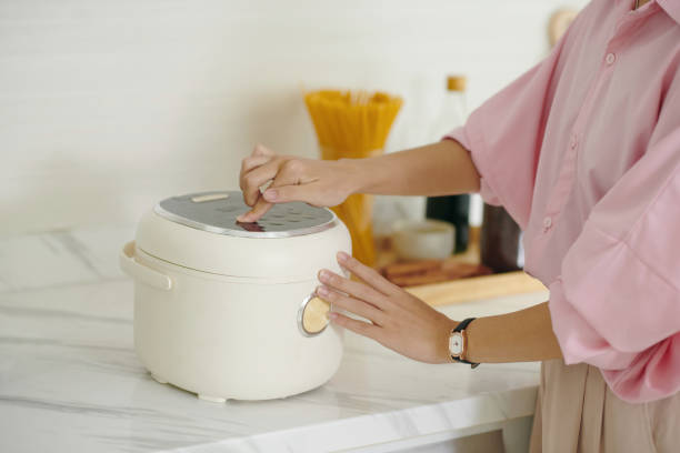Cuma Punya Rice Cooker Mini? Ini Rahasia Masak Lauk Sederhana yang Enak dan Praktis!