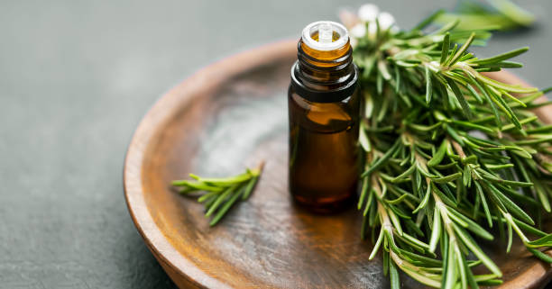 Cara Pakai Rosemary Oil Biar Rambut Cepat Panjang dan Nggak Gampang Rontok