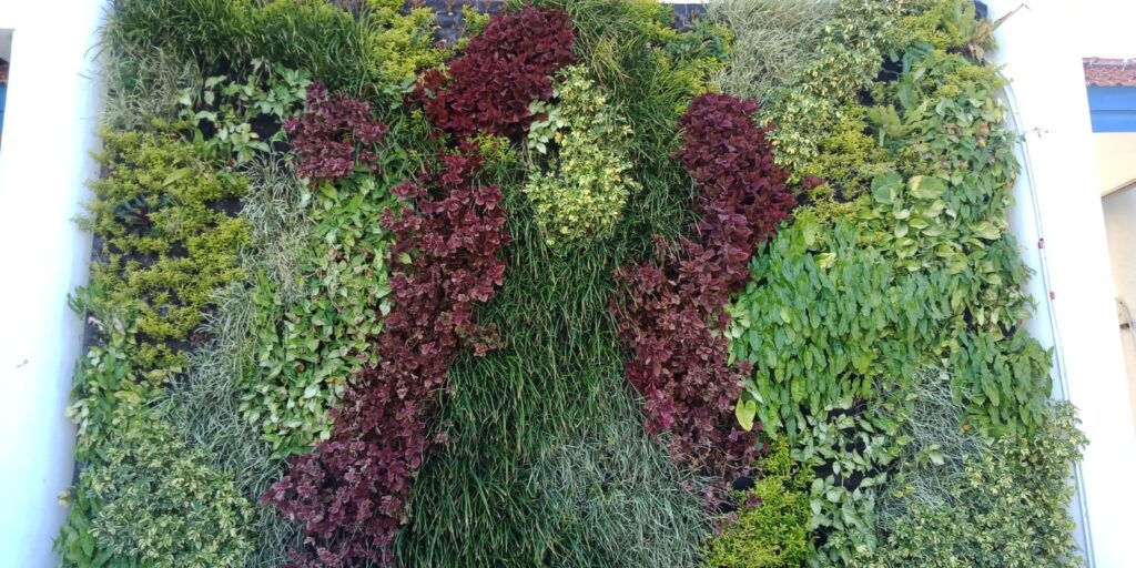 Bikin Dinding Jadi Taman Hidup: Cara Instan Naikkan Estetika Ruangan dengan Vertikal Garden