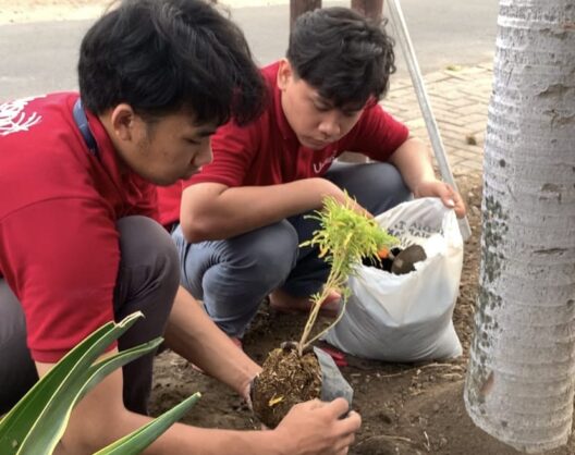 Sulap Halaman Gersang Jadi TK Idaman: Strategi KKN-T 27 Bikin Anak Betah Belajar