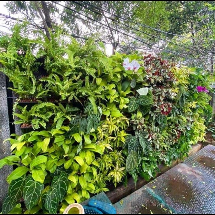 Bikin Dinding Jadi Taman Hidup: Cara Instan Naikkan Estetika Ruangan dengan Vertikal Garden