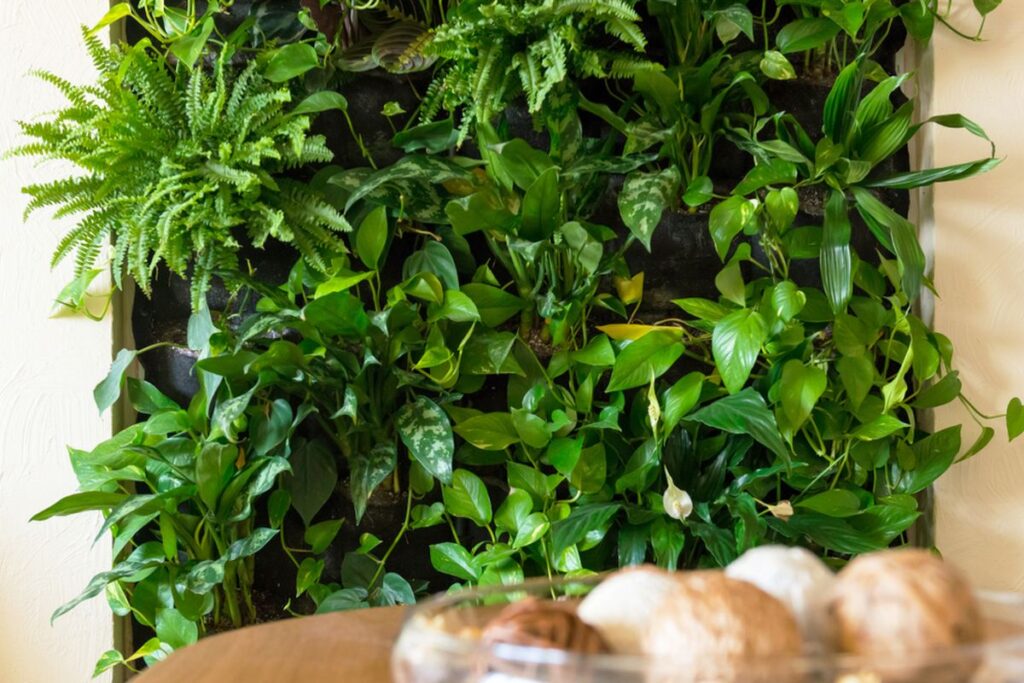 Bikin Dinding Jadi Taman Hidup: Cara Instan Naikkan Estetika Ruangan dengan Vertikal Garden