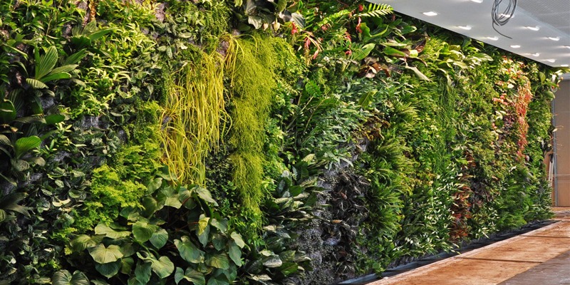 Bikin Dinding Jadi Taman Hidup: Cara Instan Naikkan Estetika Ruangan dengan Vertikal Garden