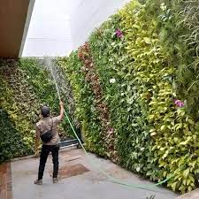 Bikin Dinding Jadi Taman Hidup: Cara Instan Naikkan Estetika Ruangan dengan Vertikal Garden