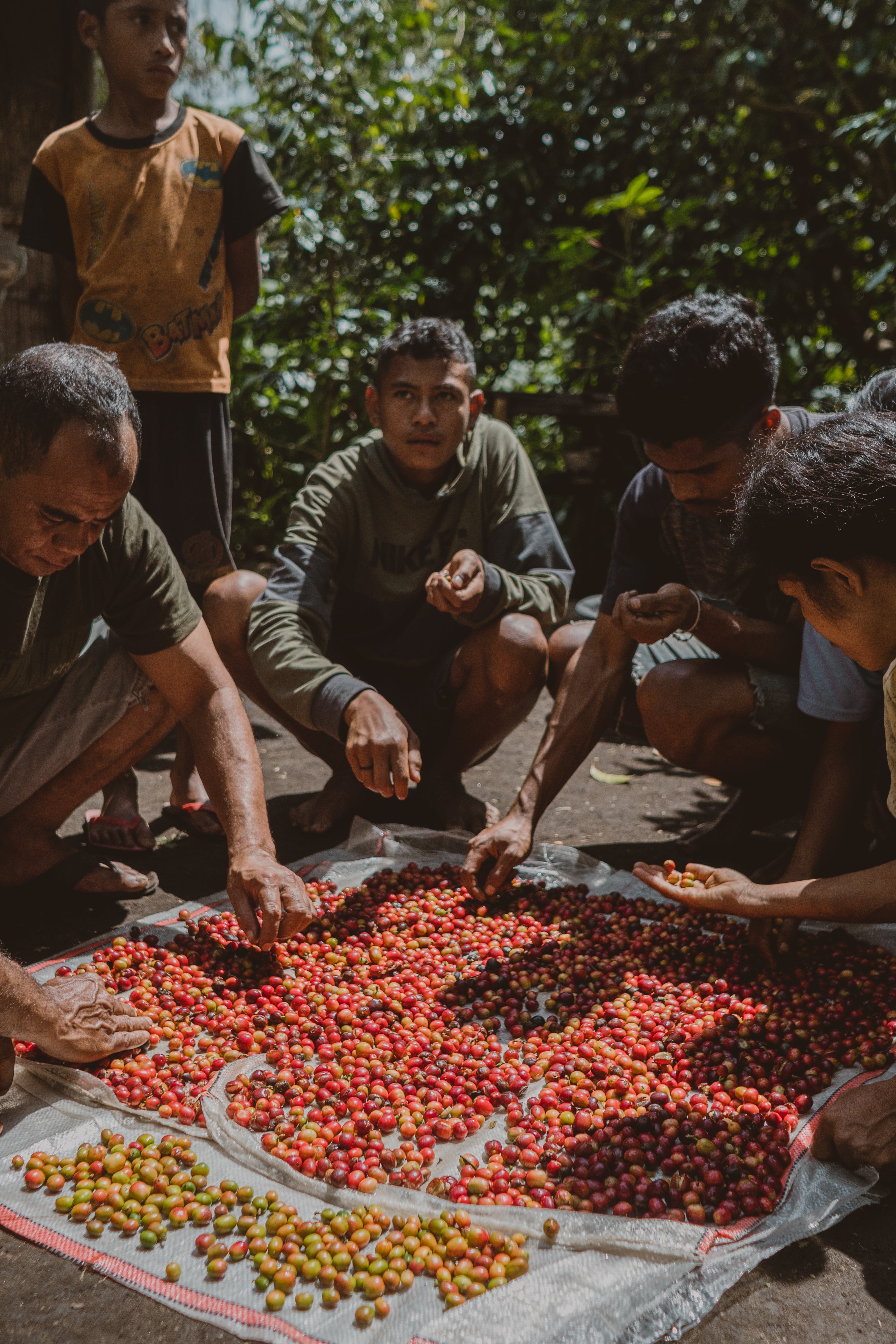 Dari Remote Worker ke Roaster: Bagaimana Indonesia Mengubah Cara Saya Melihat Kopi dan Kerja