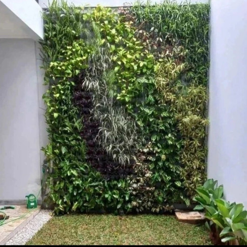 Bikin Dinding Jadi Taman Hidup: Cara Instan Naikkan Estetika Ruangan dengan Vertikal Garden