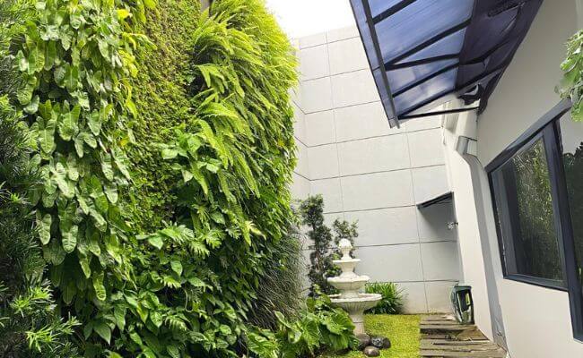 Bikin Dinding Jadi Taman Hidup: Cara Instan Naikkan Estetika Ruangan dengan Vertikal Garden