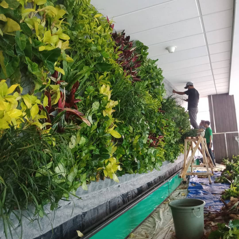 Bikin Dinding Jadi Taman Hidup: Cara Instan Naikkan Estetika Ruangan dengan Vertikal Garden
