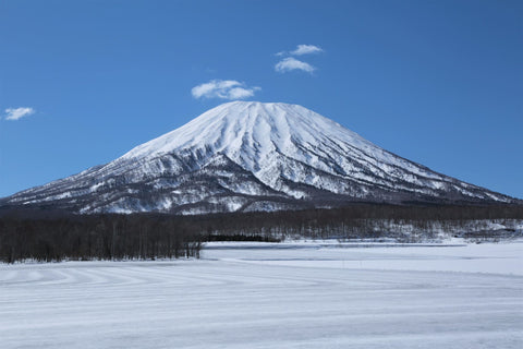 Liburan Musim Dingin Santai di Niseko: Dari Ski Powder Sampai Onsen & Susu Segar