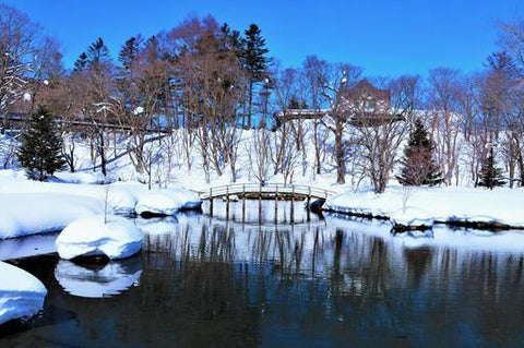 Liburan Musim Dingin Santai di Niseko: Dari Ski Powder Sampai Onsen & Susu Segar