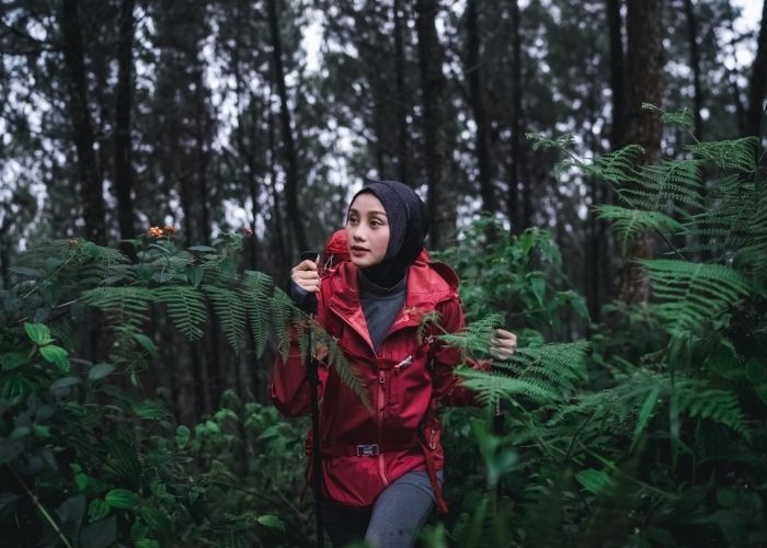 6 Jalur Resmi ke Puncak Cikuray: Mana yang Paling Cocok Buat Kamu?