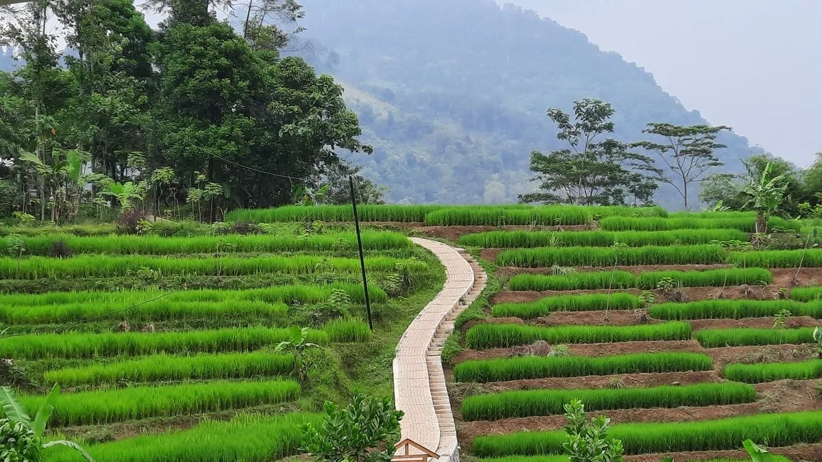 14 Destinasi Hits di Sentul: Dari Gunung, Curug, Sampai Tempat Kuliner Family Friendly!