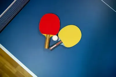 Rahasia Lapangan Tenis Meja Nyaman: Panduan Memilih Supplier Lantai Vinyl Profesional