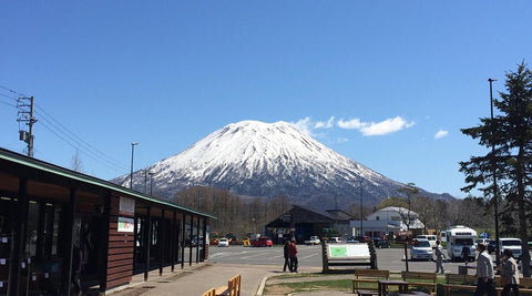 Liburan Musim Dingin Santai di Niseko: Dari Ski Powder Sampai Onsen & Susu Segar