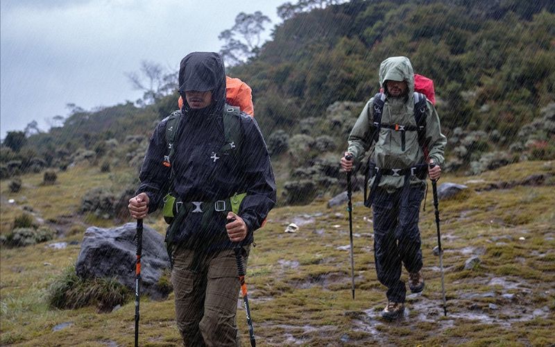 Panduan Lengkap Trekking di Sentul: Jalur Favorit, Persiapan Matang, dan Tips Anti Kewalahan