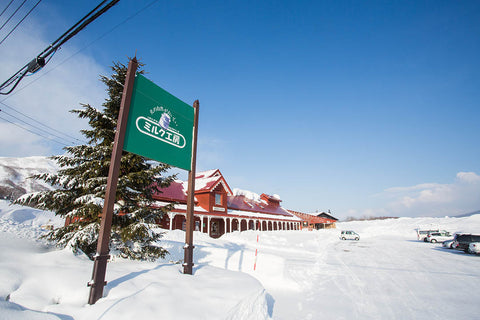 Liburan Musim Dingin Santai di Niseko: Dari Ski Powder Sampai Onsen & Susu Segar