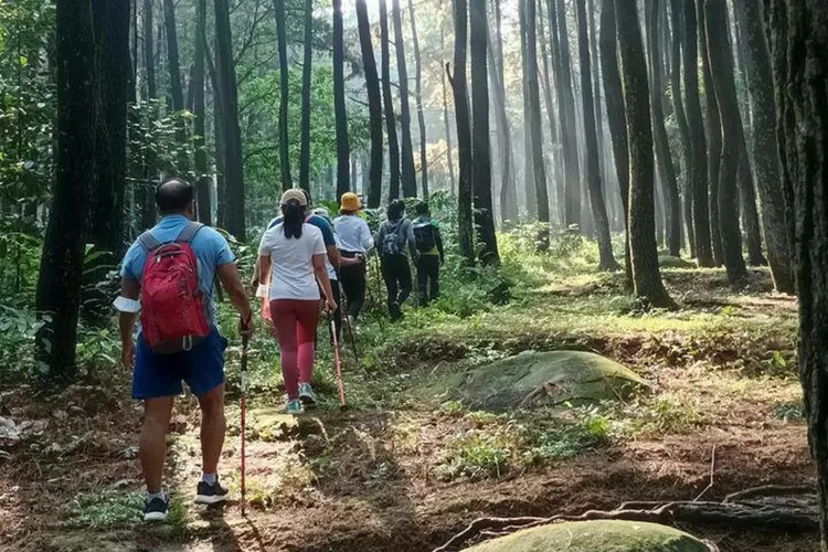 14 Destinasi Hits di Sentul: Dari Gunung, Curug, Sampai Tempat Kuliner Family Friendly!