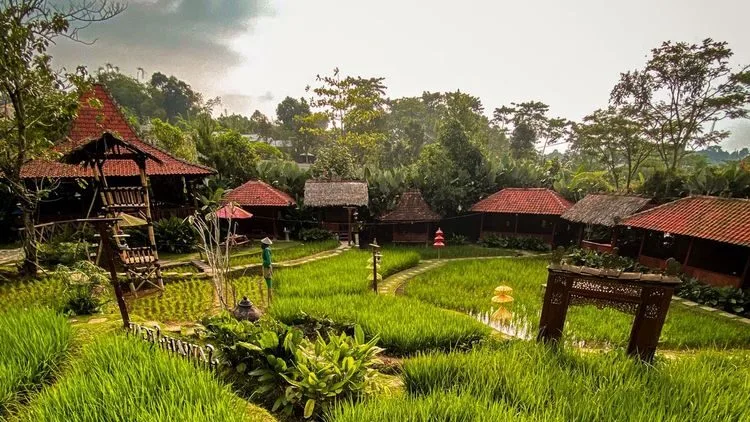 14 Destinasi Hits di Sentul: Dari Gunung, Curug, Sampai Tempat Kuliner Family Friendly!