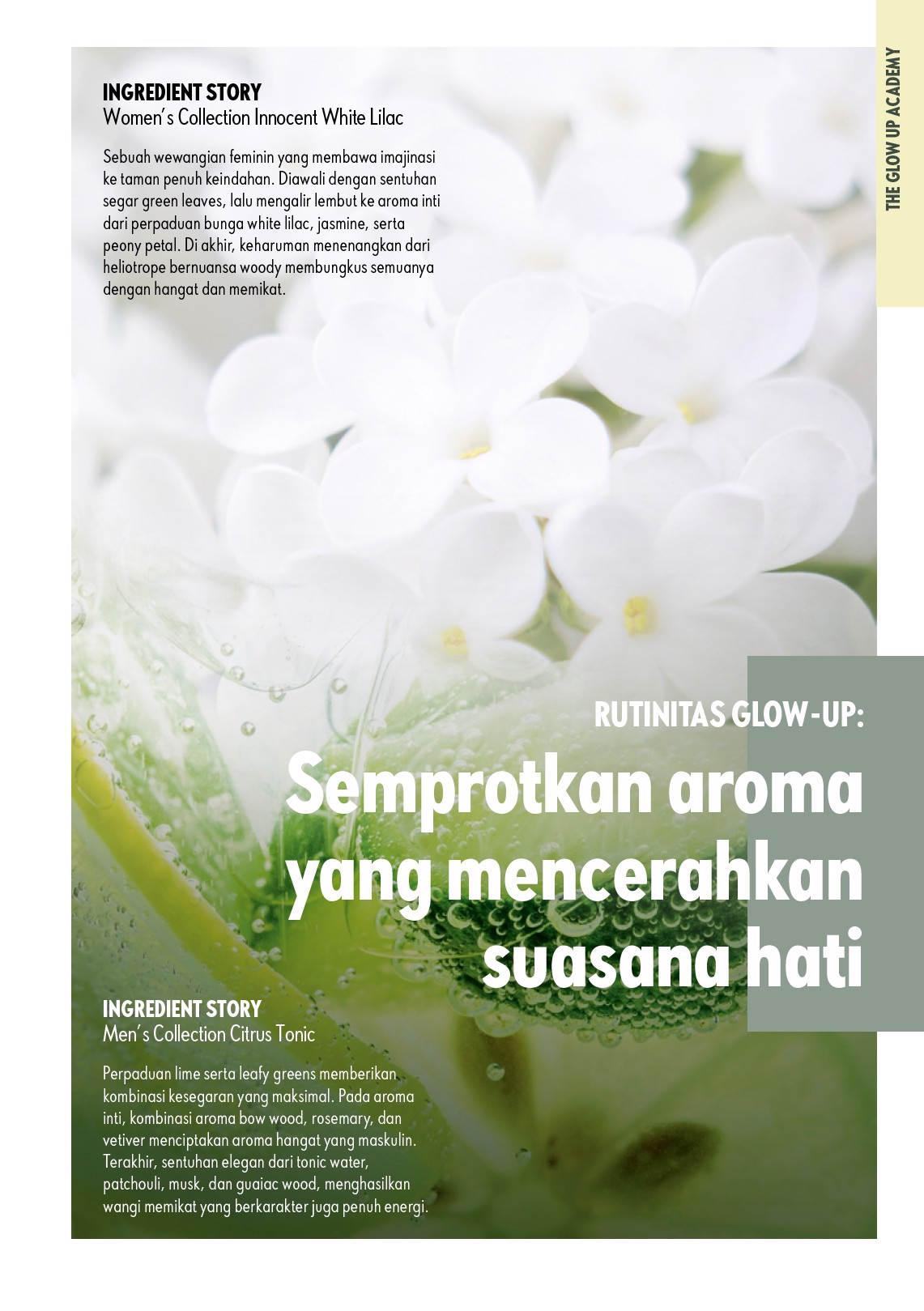 Katalog Oriflame Januari 2026: Panduan Belanja Cantik, Wangi, dan Super Lembap!