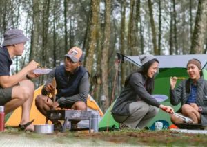 Camping di Gayatri Puncak: Panduan Seru, Aktivitas Lengkap & Gear Wajib Buat Pemula